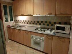 Emerald Garden (D1), Condominium #481033721